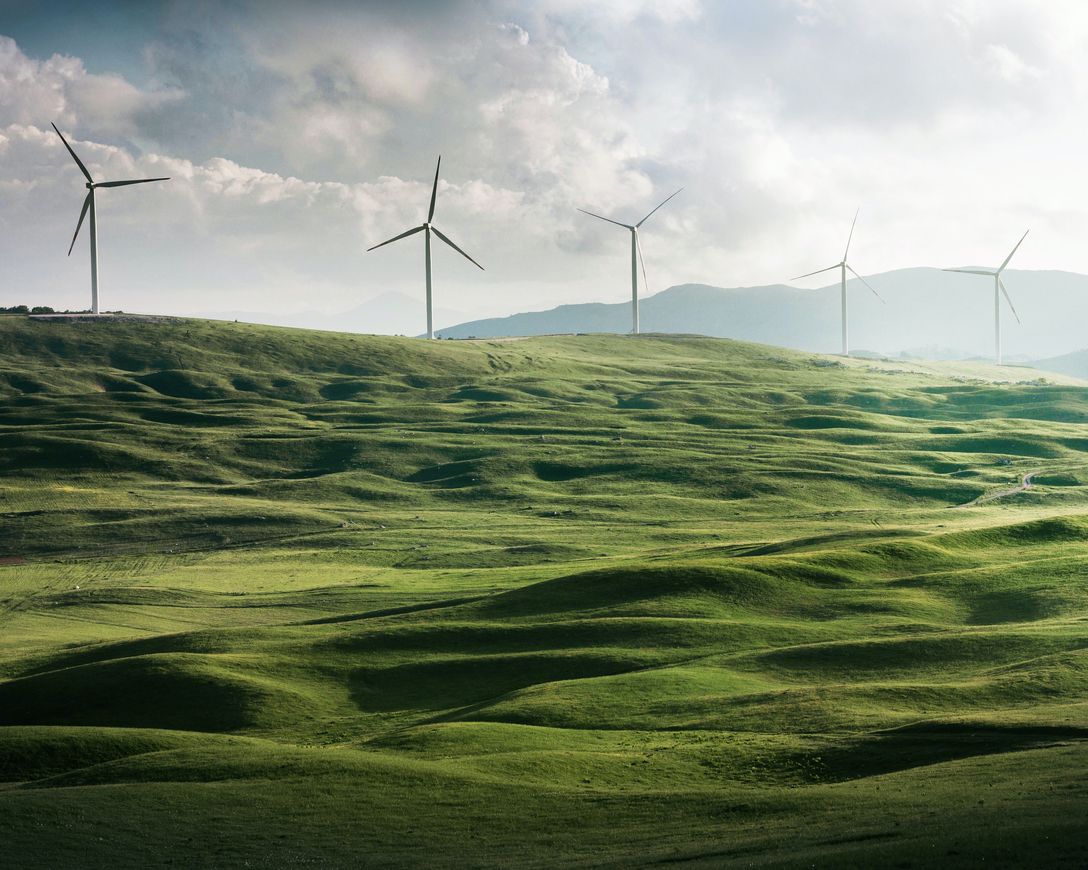 Sustainability Header Sustainability Header