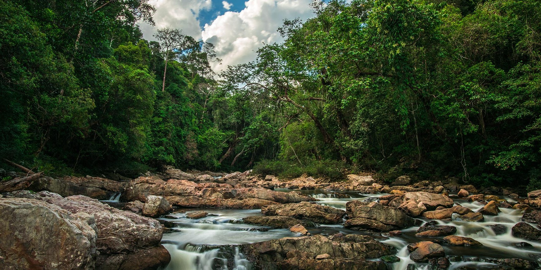 Taman Negara Nationalpark in Malaysia Taman Negara Nationalpark in Malaysia