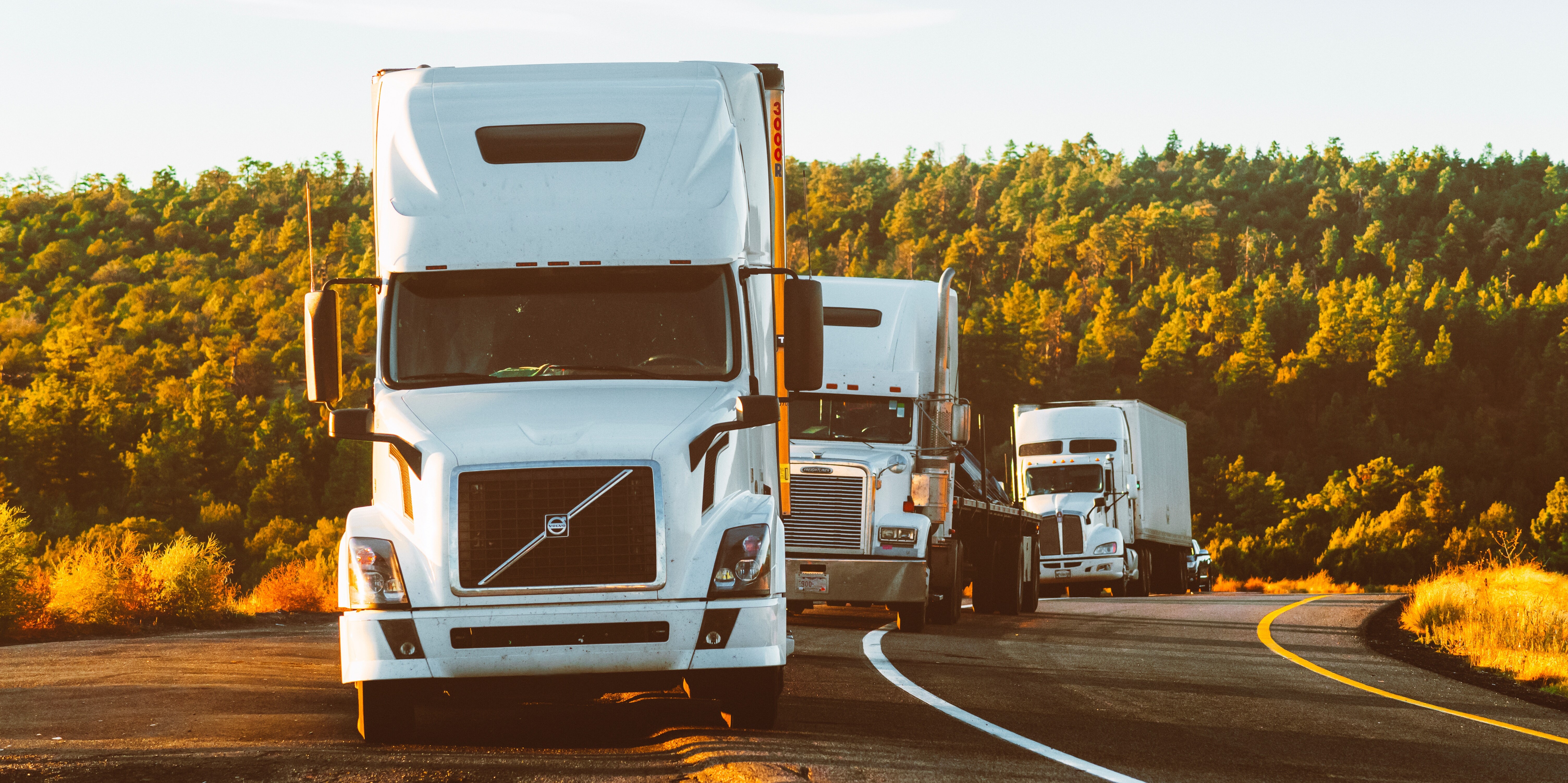 Refrigerant and brake air compressors Refrigerant and brake air compressors